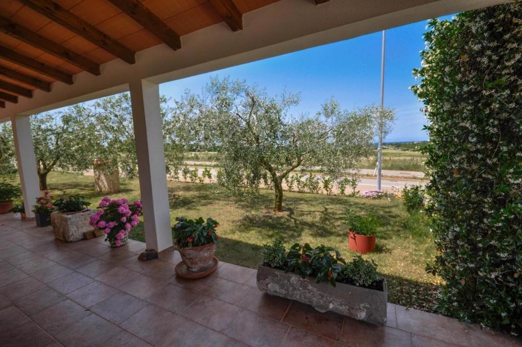 Angela Novigrad (Istria) Exterior foto