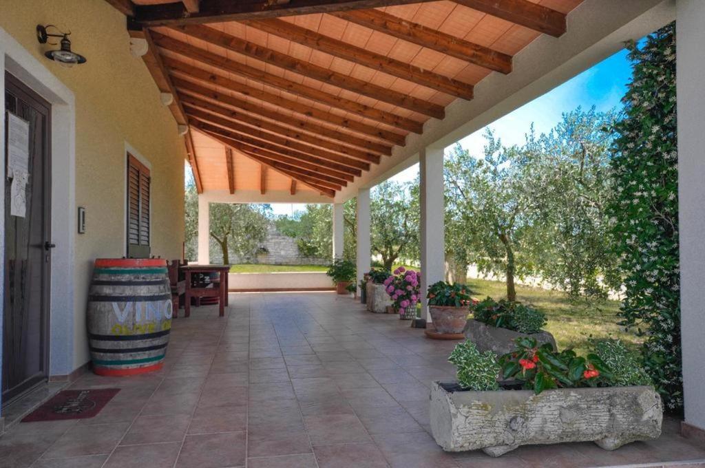 Angela Novigrad (Istria) Exterior foto