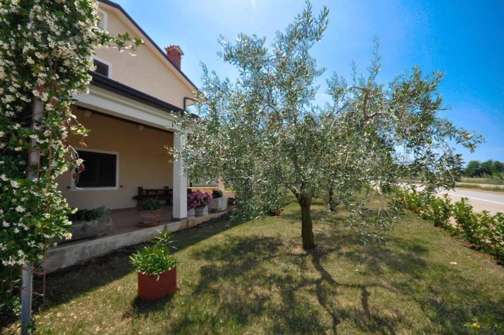 Angela Novigrad (Istria) Exterior foto
